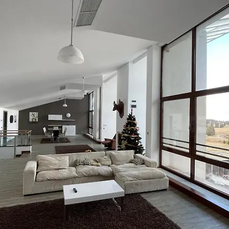 Ted Penthouse Silver Mountain Apartment