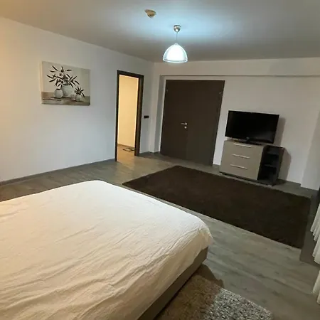Ted Penthouse Silver Mountain Apartment