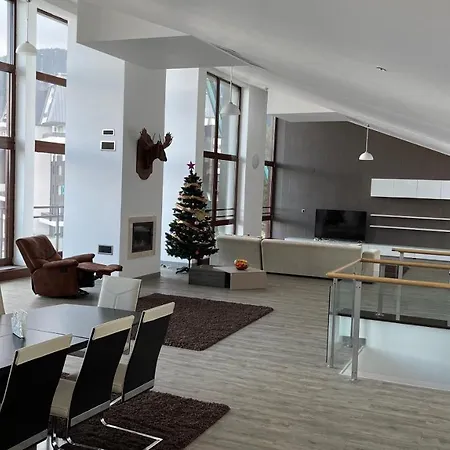 Apartment Ted Penthouse Silver Mountain Poiana Brasov
