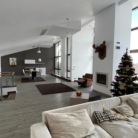 Ted Penthouse Silver Mountain